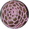 Pastorelli Hand-made crochet hair net (Chignon), Color: \"Pink\"